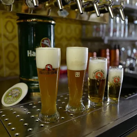 Mini-hôtel Stern 3*