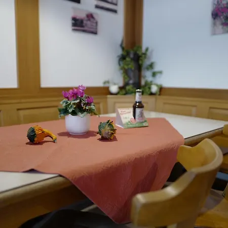 Stern Mini-hôtel 3*