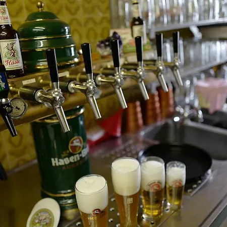 Stern Mini-hôtel 3*